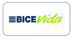 BICE